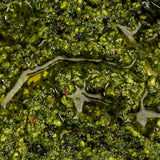 Pistachio Pesto